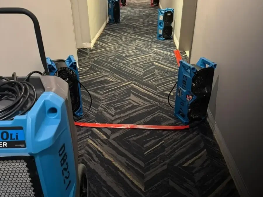 Blue drying units and hoses along a carpeted corridor